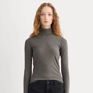 *NWT* Everlane THE LUXE RIB TURTLENECK size XXS *NWT*